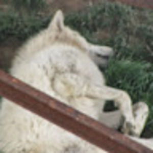 Meet your Posher, Mixer